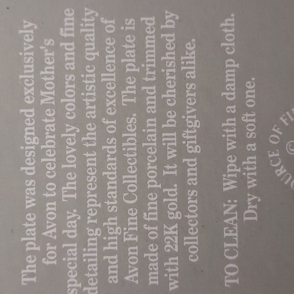 Avon Rare 1995 Vintage Mother's Day Plate in Original Box Rare Oversized Plate - Picture 8 of 10